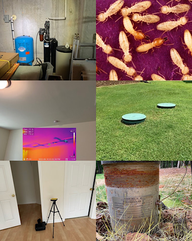 Photos of a radon monitor, well head and well equipment, a septic tank access, termites, and a thermal image showing a leak